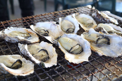 宮城県松島の旬味かきの里の新鮮牡蠣