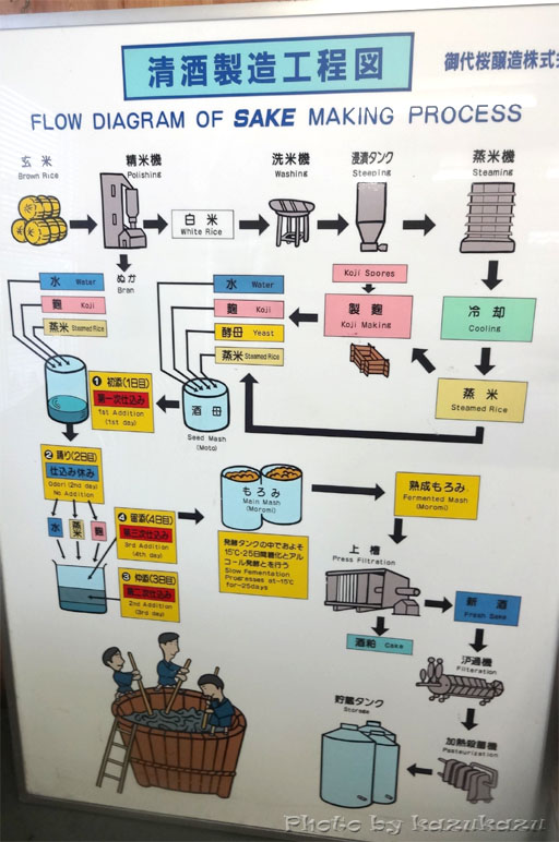 岐阜県美濃加茂市太田本町の御代桜醸造の清酒製造工程図
